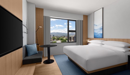 Room, 1 King Bed