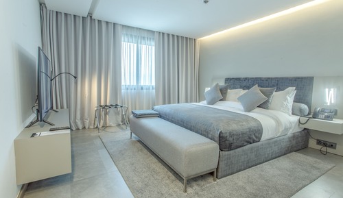 Luxury Apartment