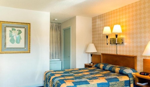 Basic Single Room, 1 Queen Bed