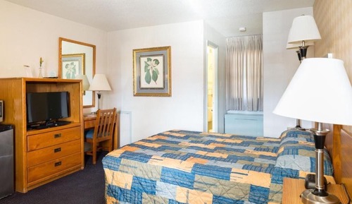 Basic Single Room, 1 Queen Bed