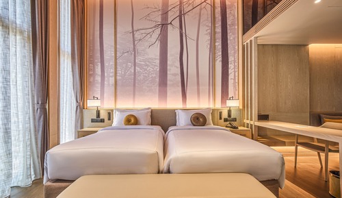 Deluxe Double or Twin Room