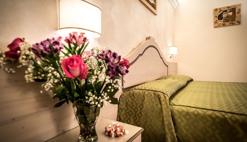 Classic Double Room Single Use