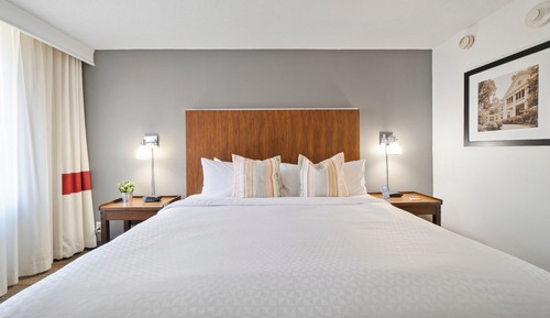 Suite, 1 King Bed with Sofa bed