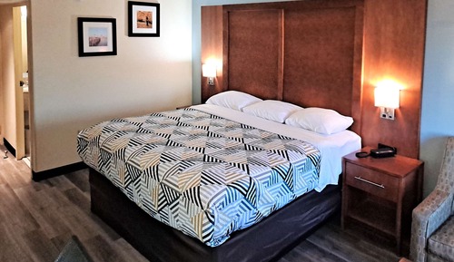 Deluxe Suite, 1 King Bed, Non Smoking, Refrigerator & Microwave