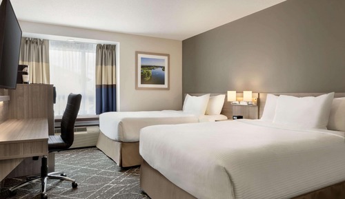 Business Suite, 2 Queen Beds, Fridge, Microwave, Non Smoking
