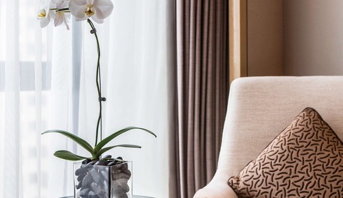 Executive Room, 1 King Bed