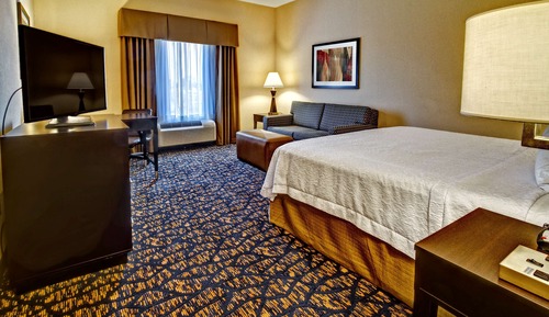 Room, 1 King Bed with Sofa bed, Non Smoking, Refrigerator & Microwave