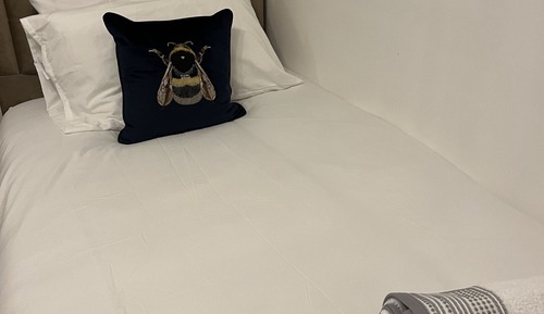 Business Single Room