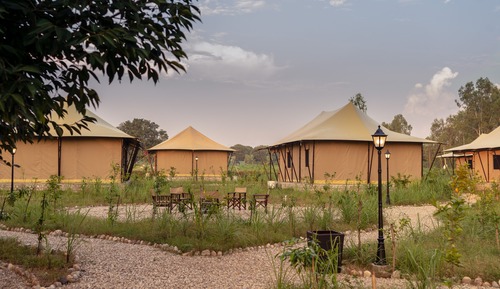 Luxury Tent (King)