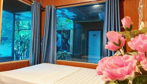 Basic Double or Twin Room