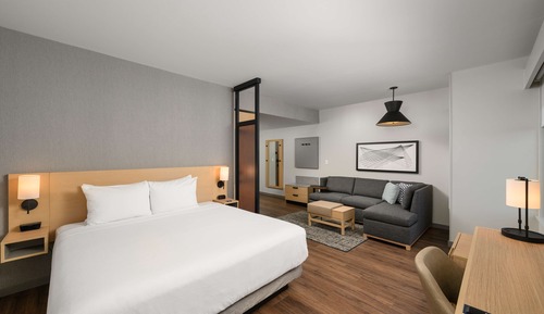 City Room, 1 King Bed with Sofa bed (Specialty)