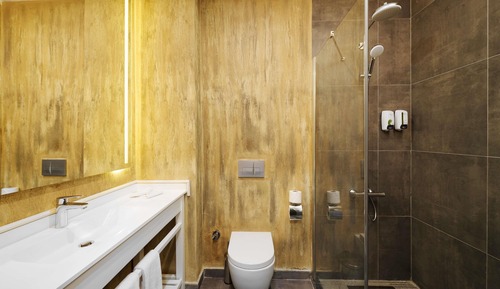 Executive Room, 1 King Bed