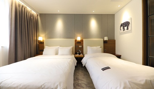Standard Twin Room, Multiple Beds
