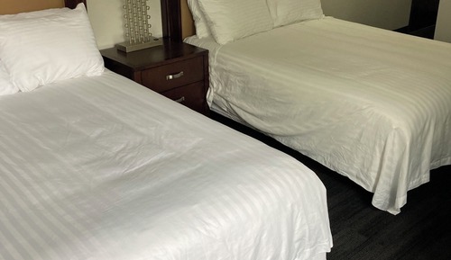 Room 216 - 2 Queen Beds