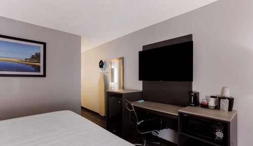 Room, 1 King Bed, Non Smoking