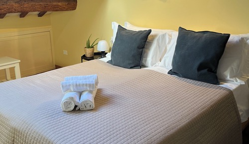 Classic Double or Twin Room (16)