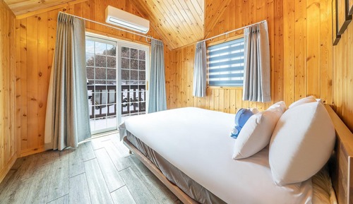 Basic Room, 1 Bedroom (Bdong (with pet))