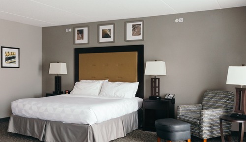 Standard Room, 1 King Bed, Accessible (Mobility, Transfer Shower)