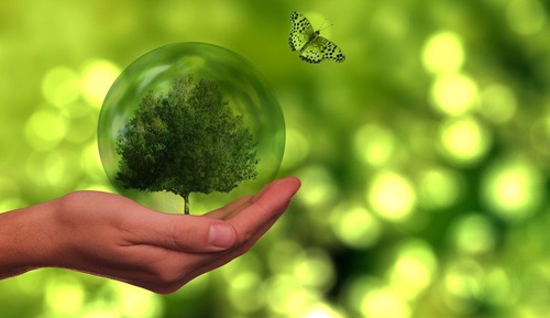[Be Green PKG] Family(Clean/Garden view/Bed) - Recycling Key Ring 1EA provided