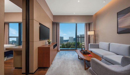 Suite, 1 Bedroom, City View (Living Area)