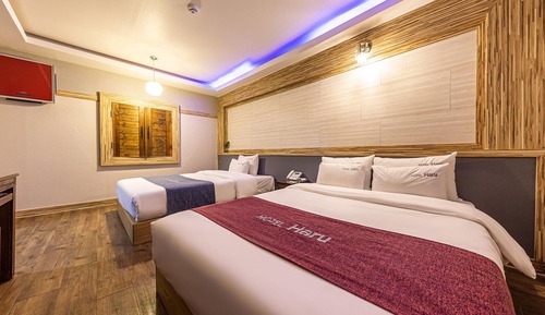 Room (Suite Twin (TWN sofa TV bathtub rain )