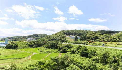 Room (Twin (Cancellation Not Available 3 Da)