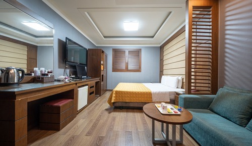 Room (VIP room)