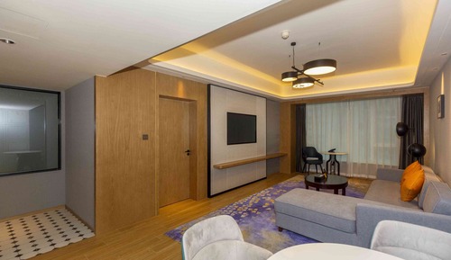 Suite, 1 King Bed (Living Area)
