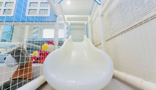 Room (Venus Star (Kids Pool Villa))