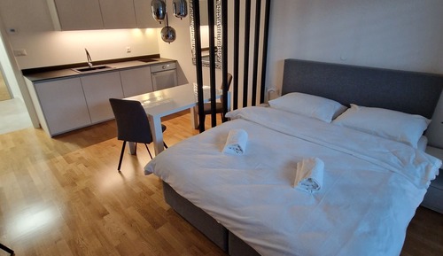 Elite Studio Suite, 1 Queen Bed