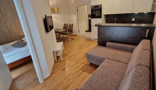 Comfort Apartment