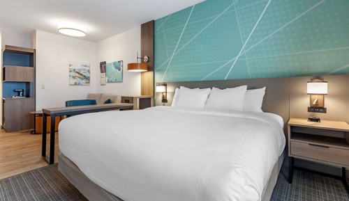 Suite, 1 King Bed with Sofa bed, Non Smoking