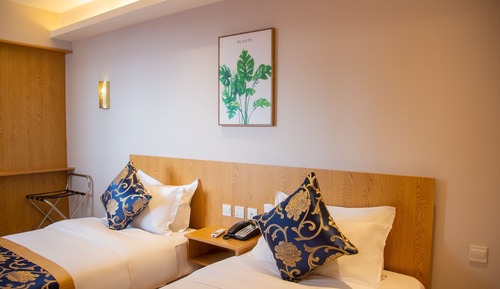 Deluxe Twin Room with Mountain view