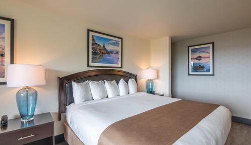 Room, 1 King Bed, Accessible (Pet Friendly - ADA)