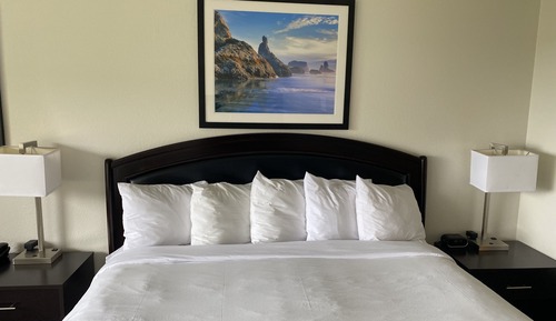 Standard Room, 1 King Bed (Pet Friendly)