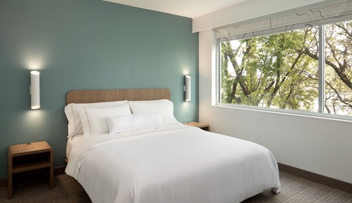 Studio, 1 King Bed with Sofa bed