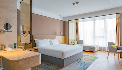 Standard Room, 1 King Bed, Accessible, City View
