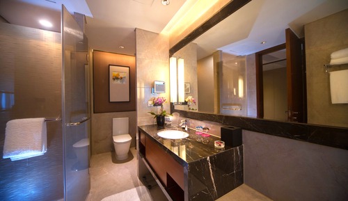 Standard Room, Business Lounge Access, City View