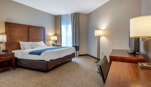 Standard Room, 1 King Bed, Non Smoking