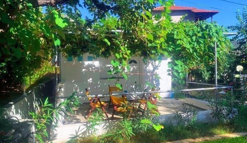 Family Studio, Garden View