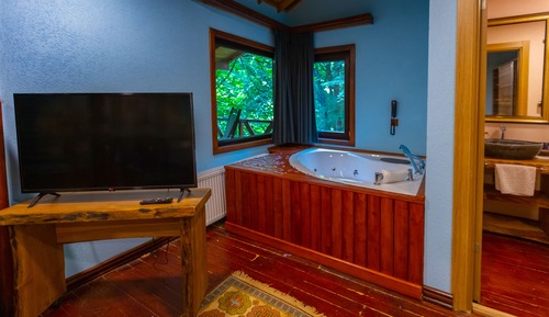 Luxury Tree House