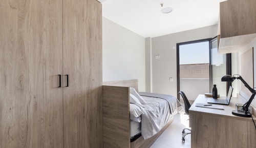 Basic Single Room