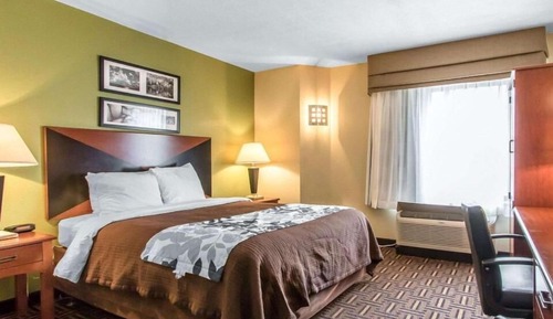 Standard Single Room, 1 Queen Bed