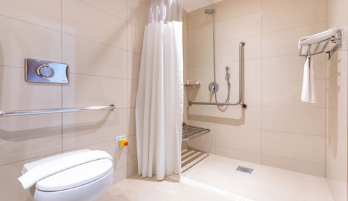 Executive Room, 1 Double Bed, Accessible, Non Smoking (Mobility, Roll-In Shower)