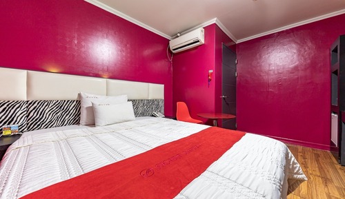 Room (Solo travel room (existing 1 person/m)