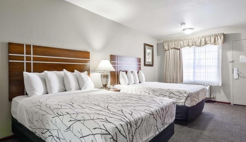 Comfort Suite, Multiple Beds, Non Smoking, Microwave