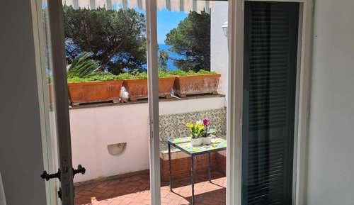 Junior Studio Suite, Garden View