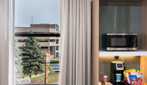 Room, 1 King Bed, Accessible (Roll-In Shower)