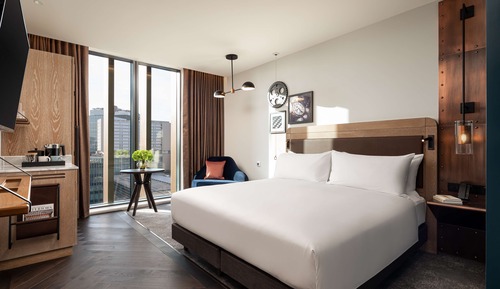 Room, 1 King Bed, Accessible