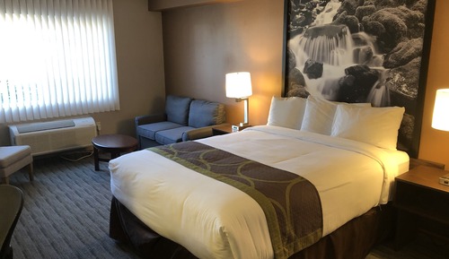 Room, 1 Queen Bed, Non Smoking